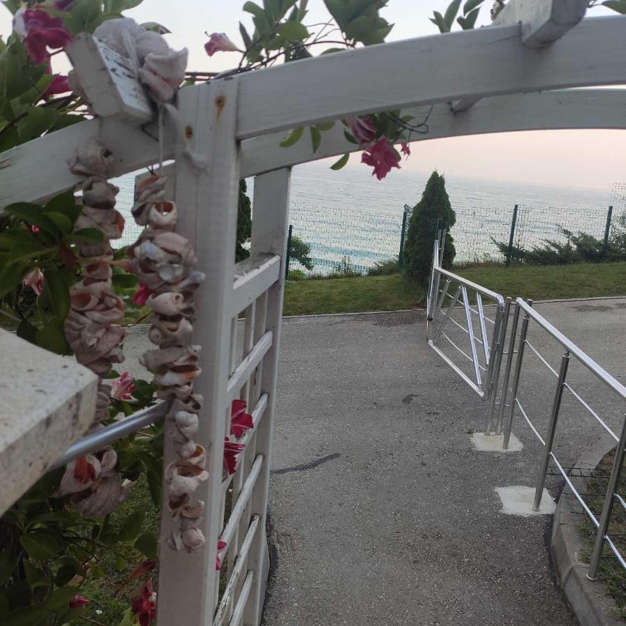 Silver A28 Byala  Bagian luar foto